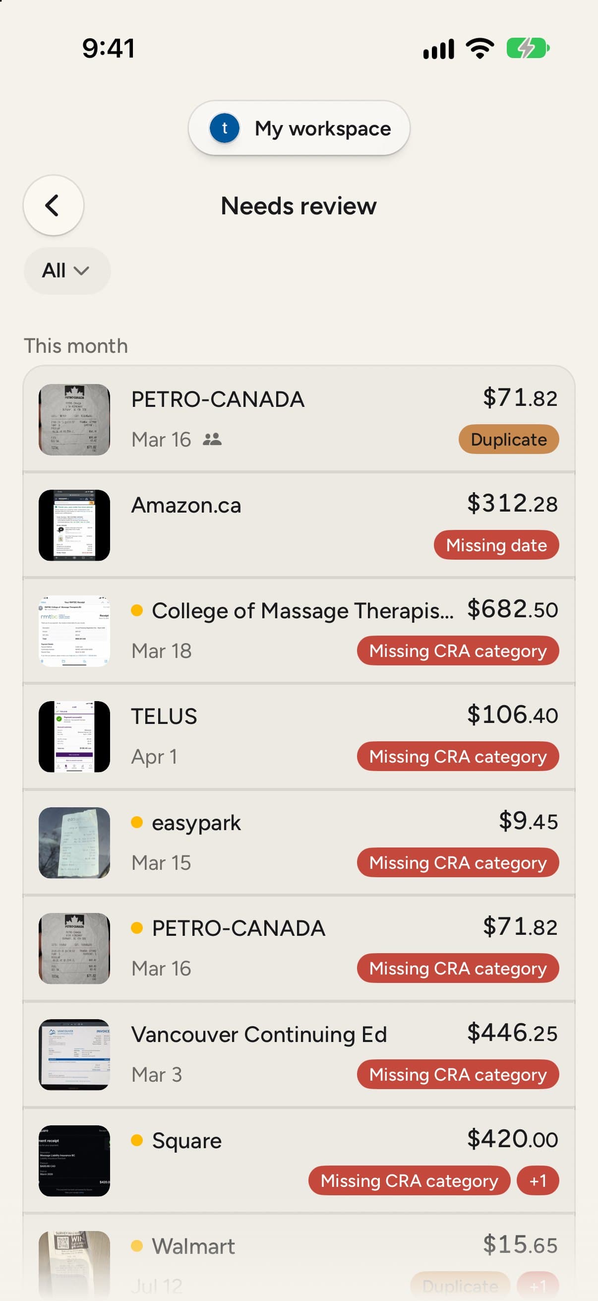 The Needs review screen listing receipts flagged as a duplicate, missing a date or missing a CRA category